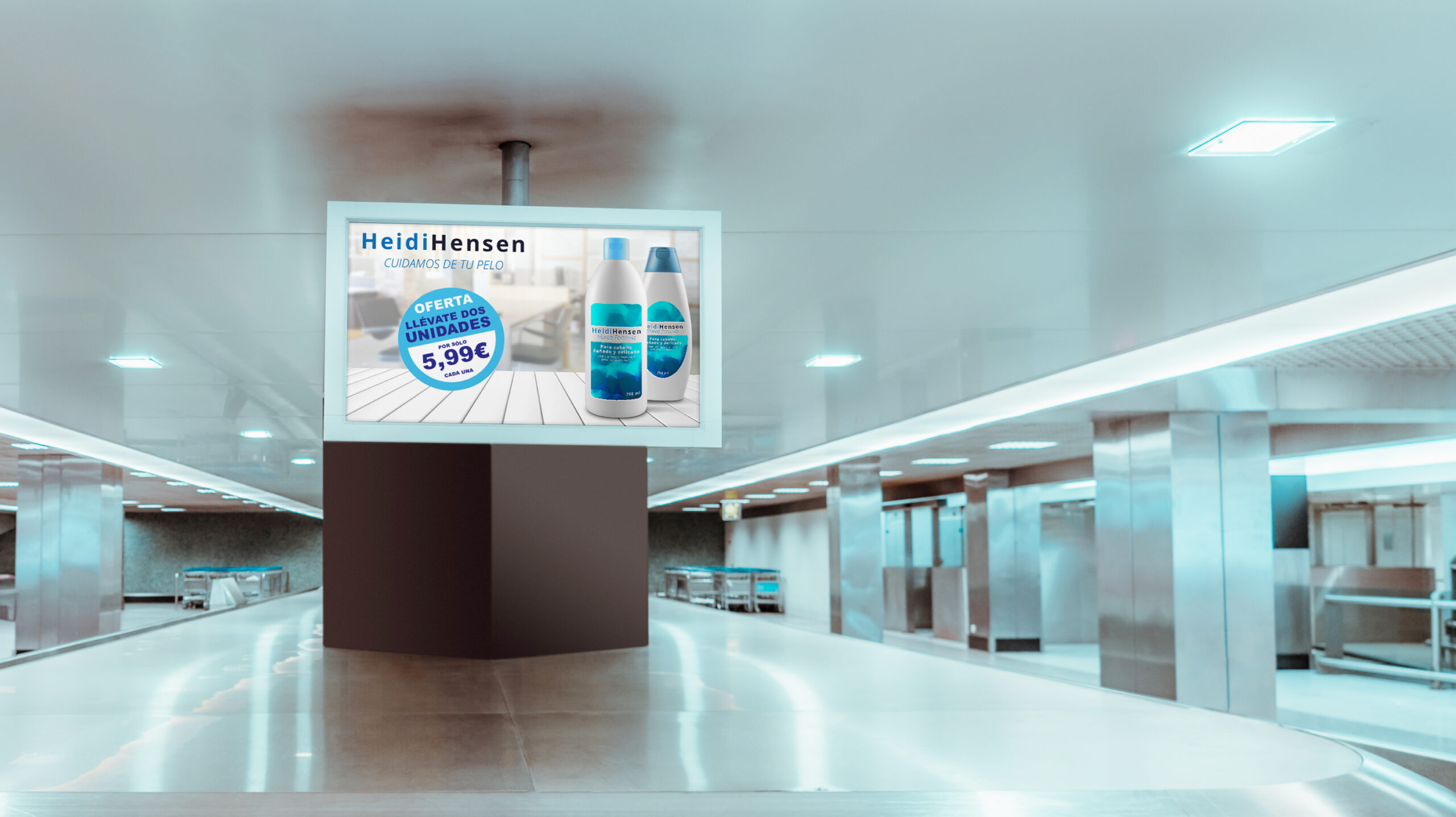 Mockup of plasma tv, baggage claim